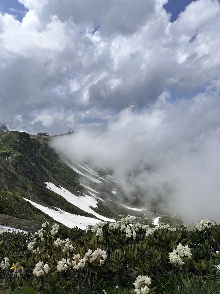 Photograph by Юлия