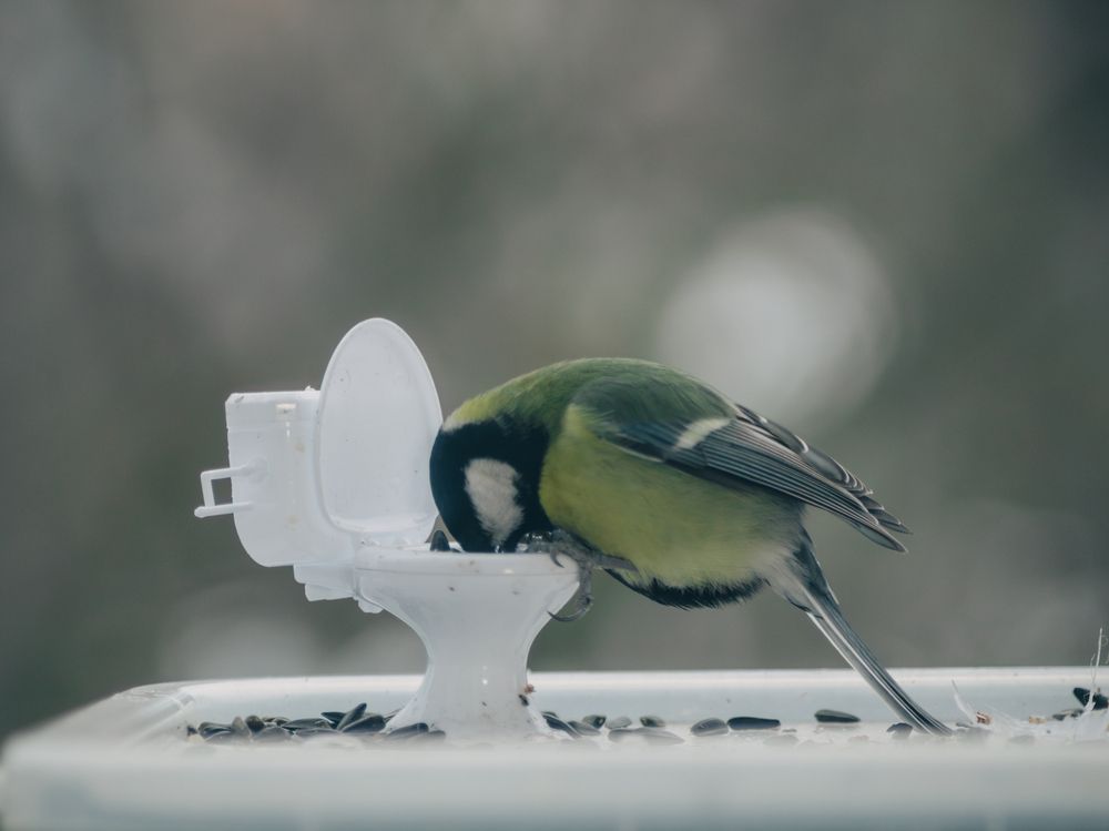 Photograph by Max Vegas