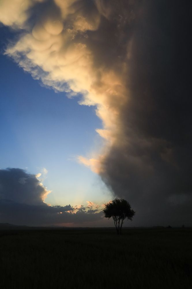 Photograph by Bita Mozaffari