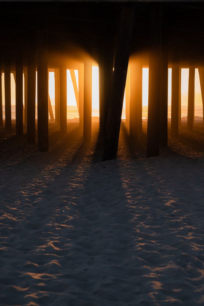 Photograph by Anna Vlasova