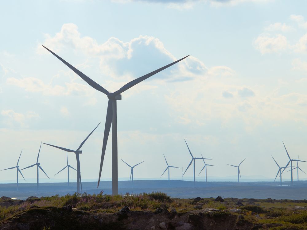 Photograph by Юлия Серазетдинова