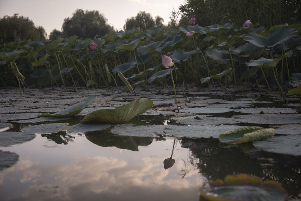 Photograph by Дарья Юсарева