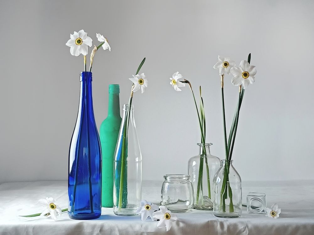 Фотография автора Татьяна Шахова