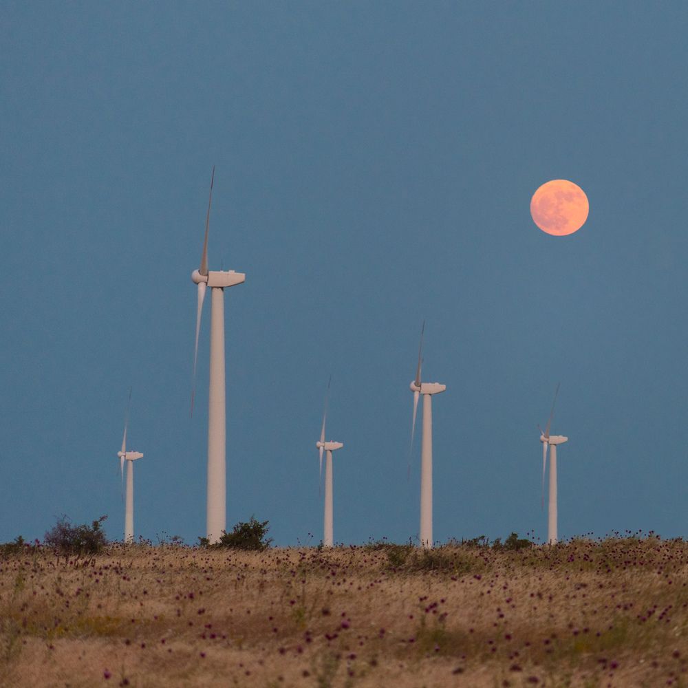 Фотография автора Lyuboslav Bochev