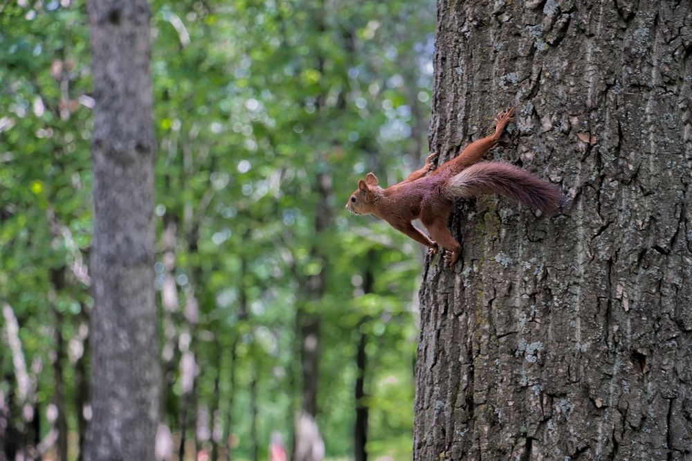Фотография автора Юдинских Марина