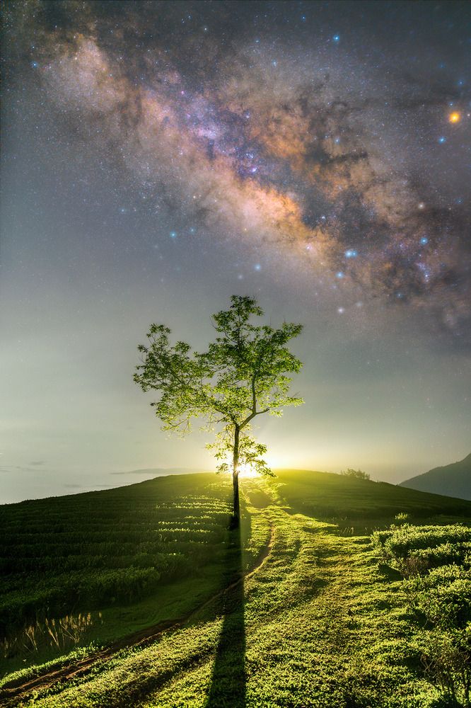 Фотография автора Dao Hoang