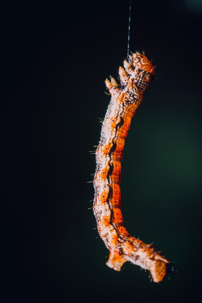 Photograph by Максим Юрлов