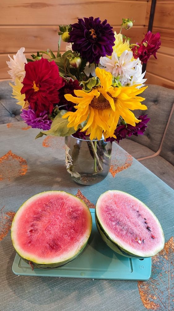 Арбузы в Сибири