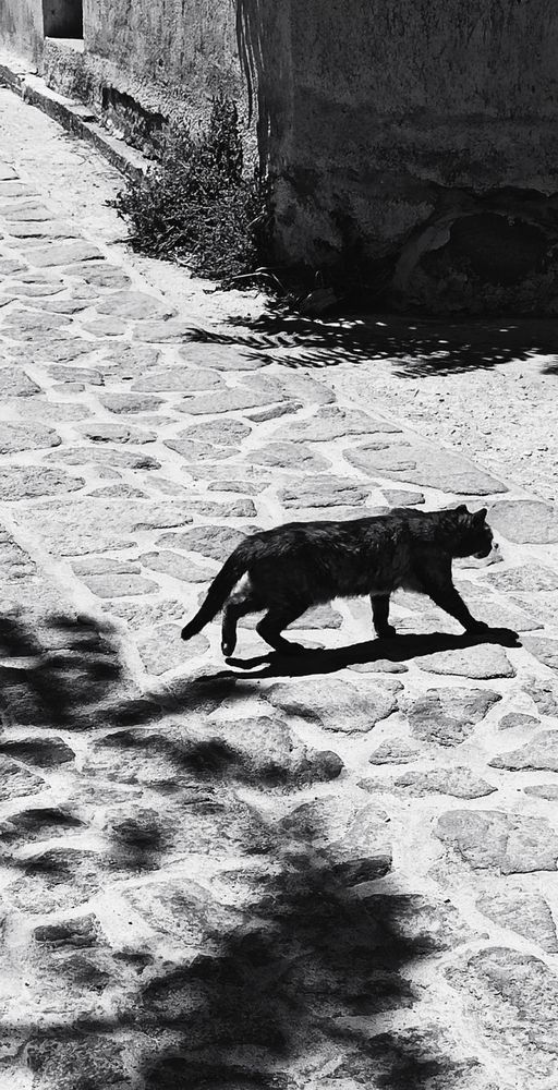 Photograph by Myrsini Charalampidou