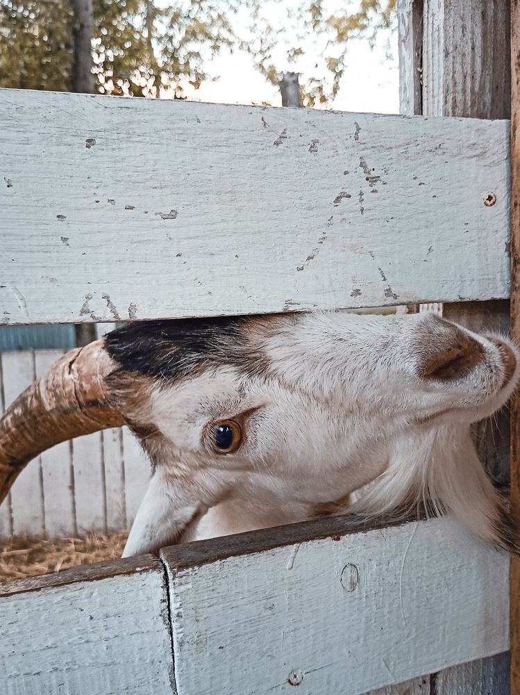 Фотография автора Татьяна Шахова