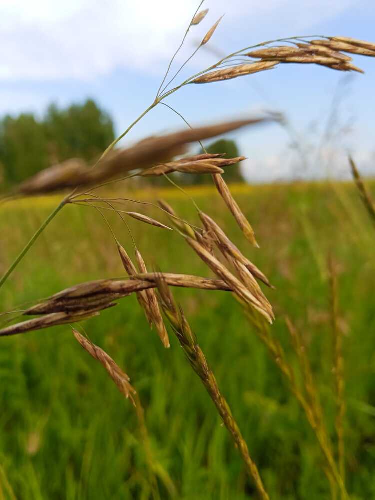 Photograph by Галина Попова