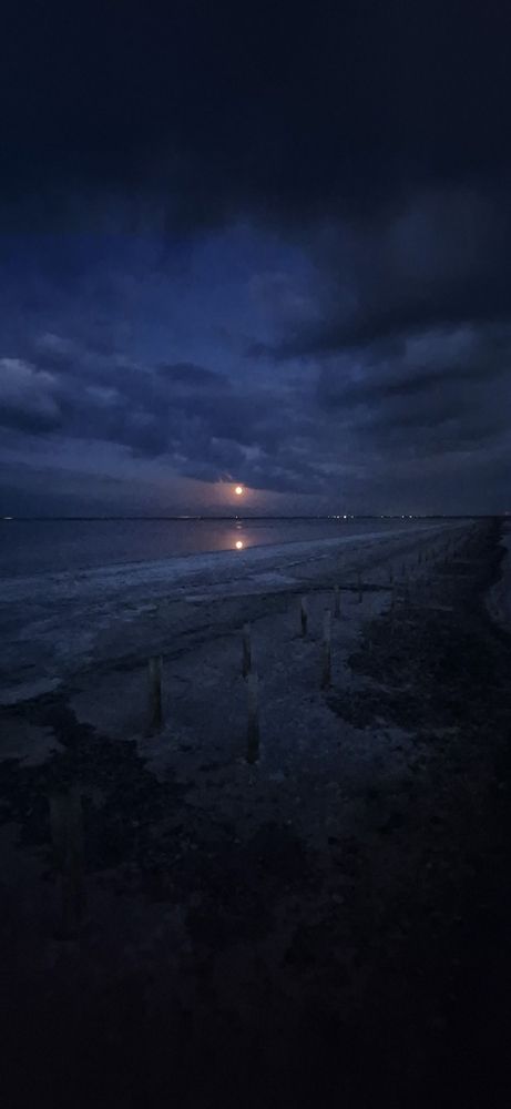 Фотография автора Ольга Мусина