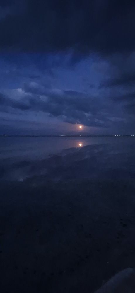 Фотография автора Ольга Мусина