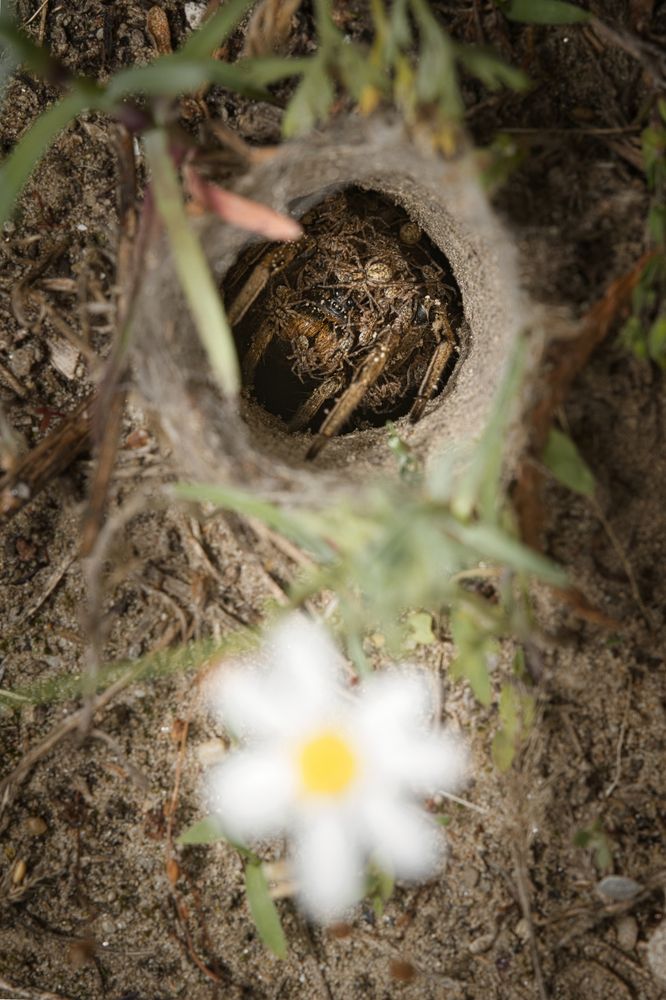 Photograph by Krisztina Mácsai