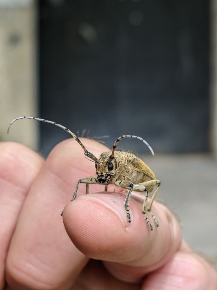 Photograph by Владимир Кириллов