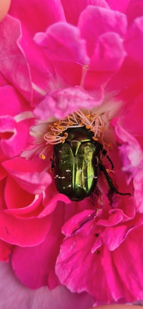 Фотография автора Ольга Мусина