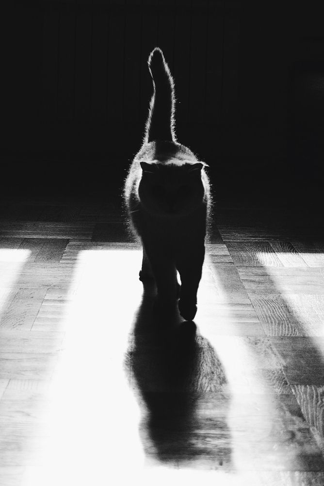Photograph by Lynn Sh.