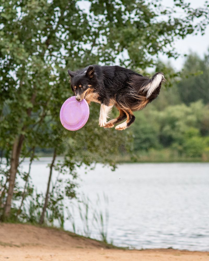Photograph by Aliaksandr Shautsou