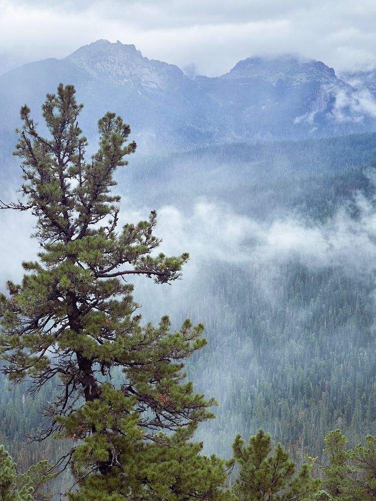 Photograph by Анна Пудовкина