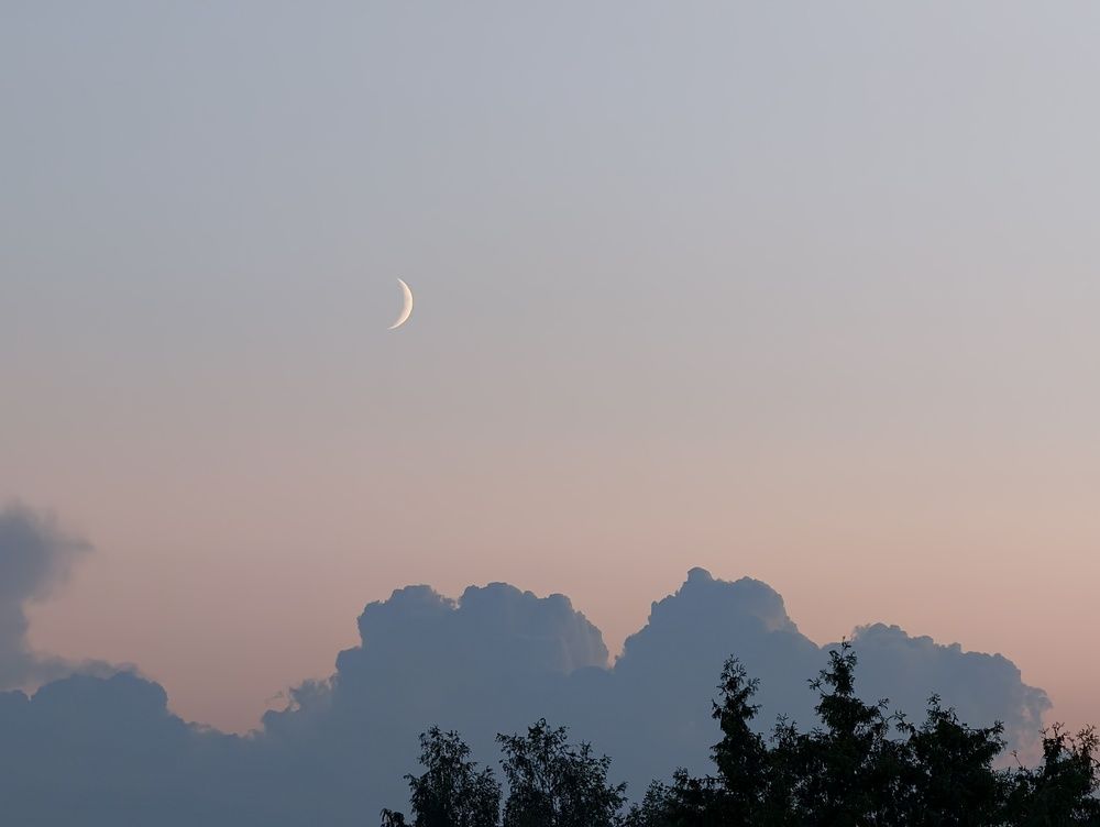 Photograph by Галина