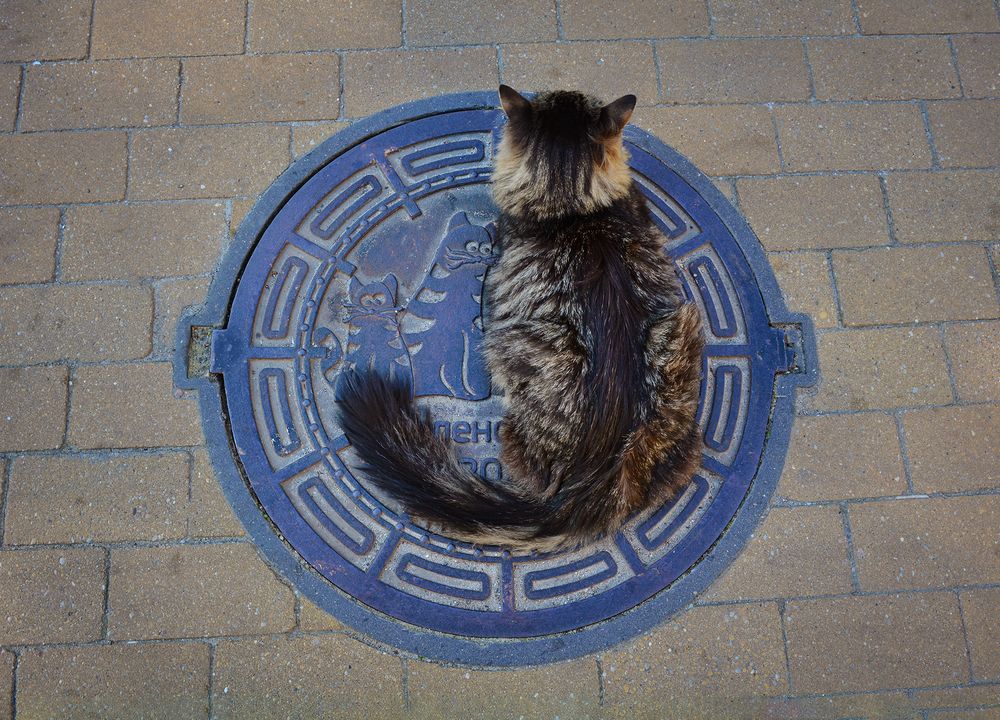 На своем месте.