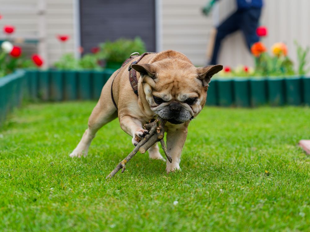 Photograph by Денис Горелов