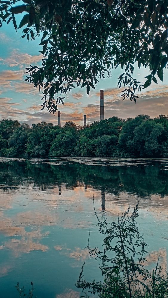 Photograph by Людмила Горячева