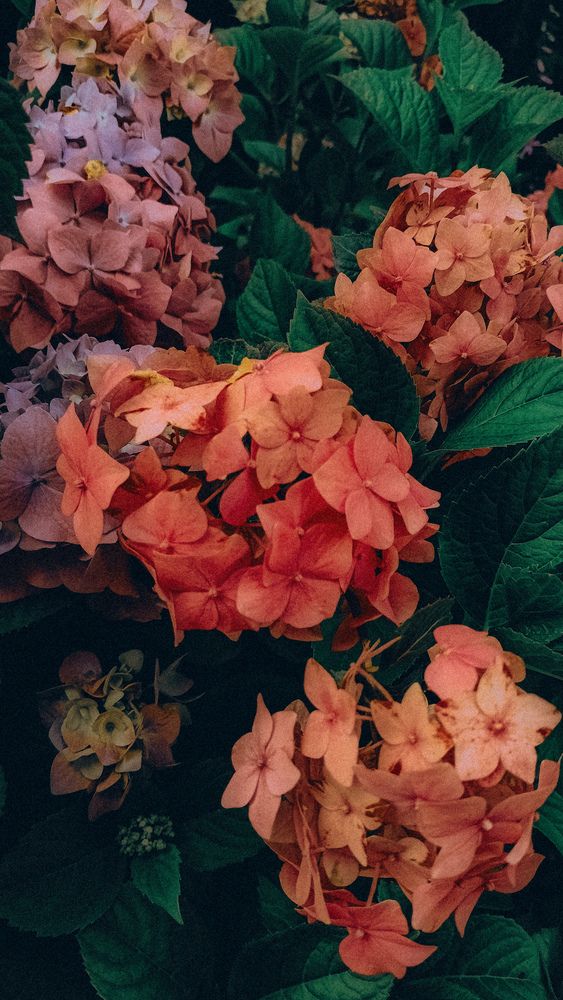 Photograph by Людмила Горячева