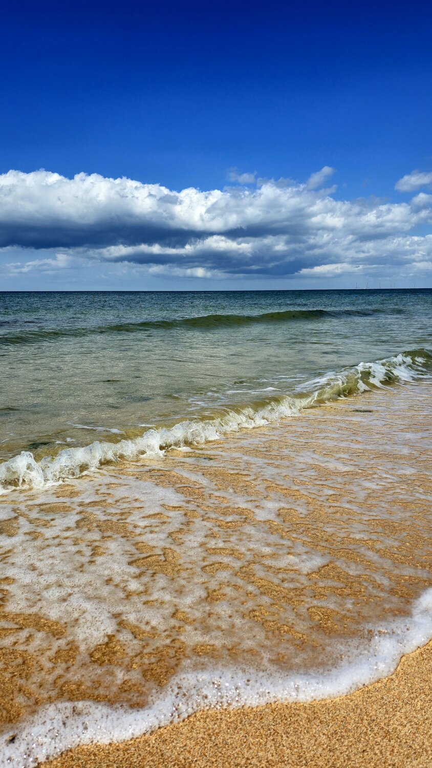 Photo #12467654