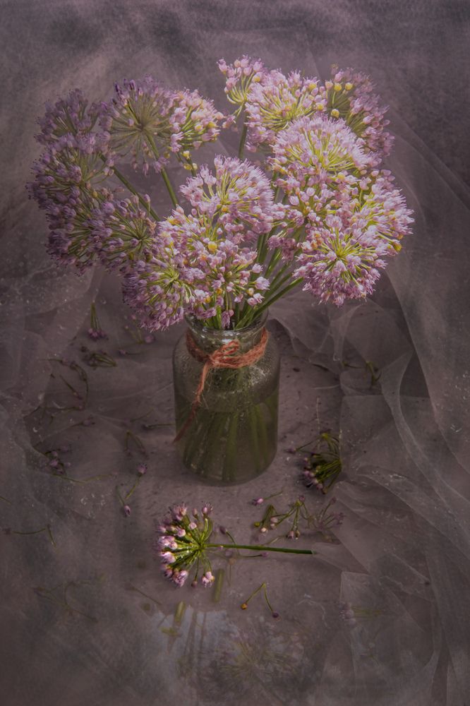 Photograph by Ольга Клименкова