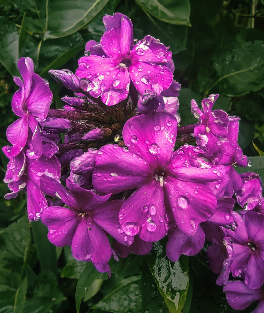 Photograph by Дарья