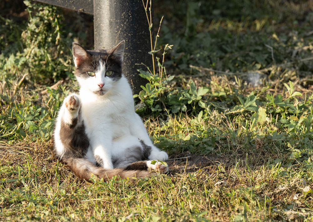 Photograph by Елена Март