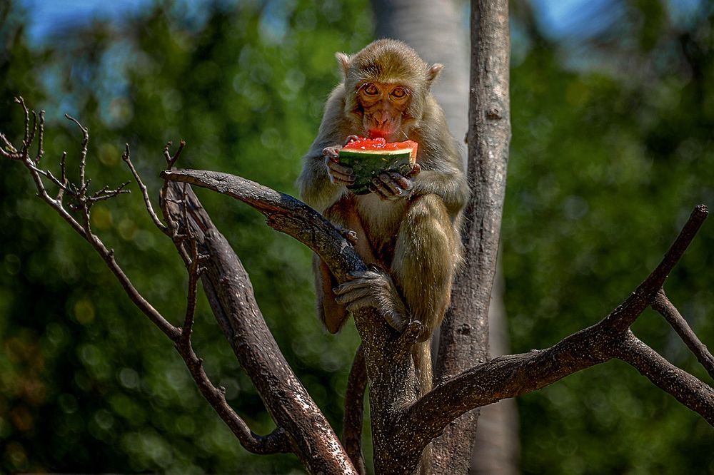 Photograph by Александр Шипиленко