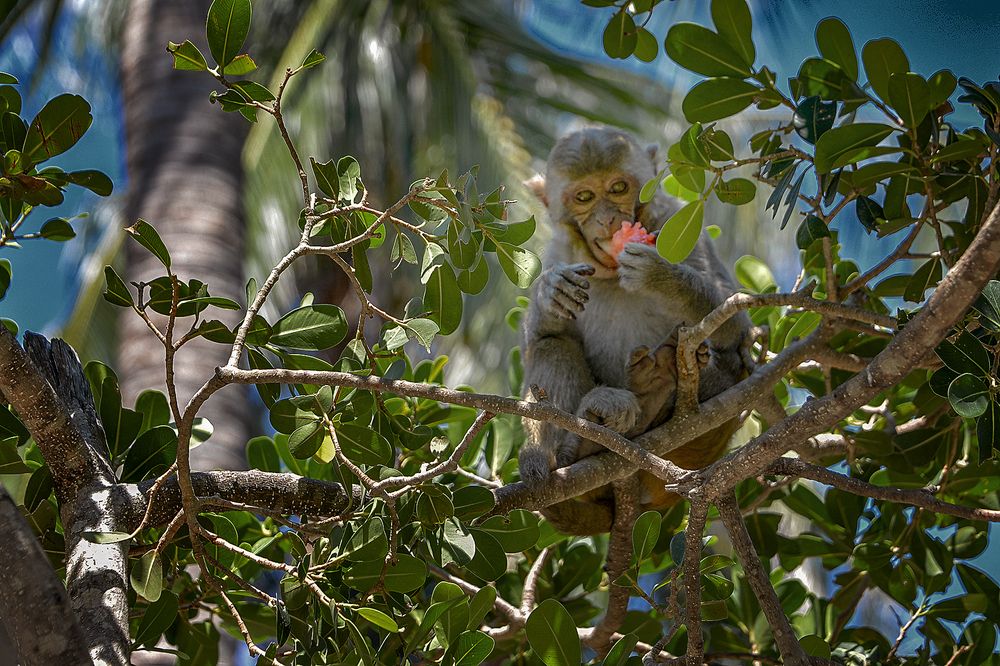 Photograph by Александр Шипиленко