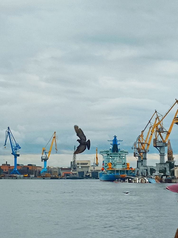 Photograph by Лариса Лысенко