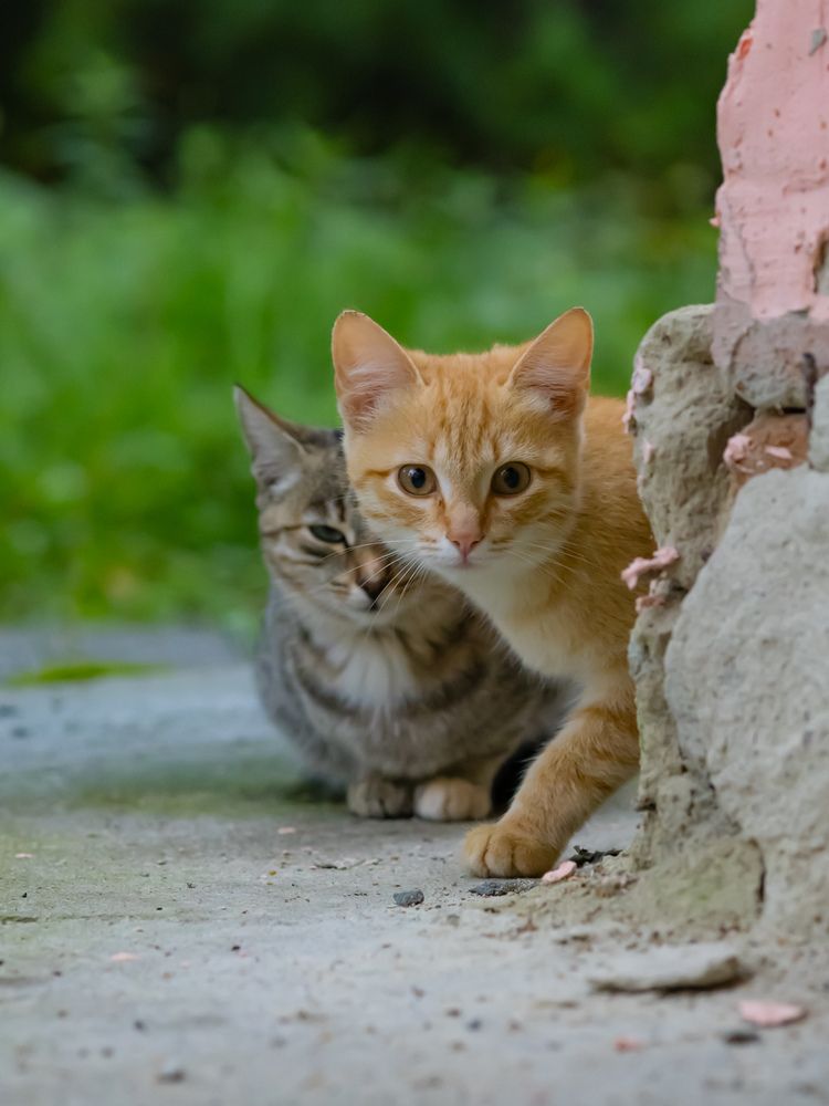 Photograph by Максим Фролов