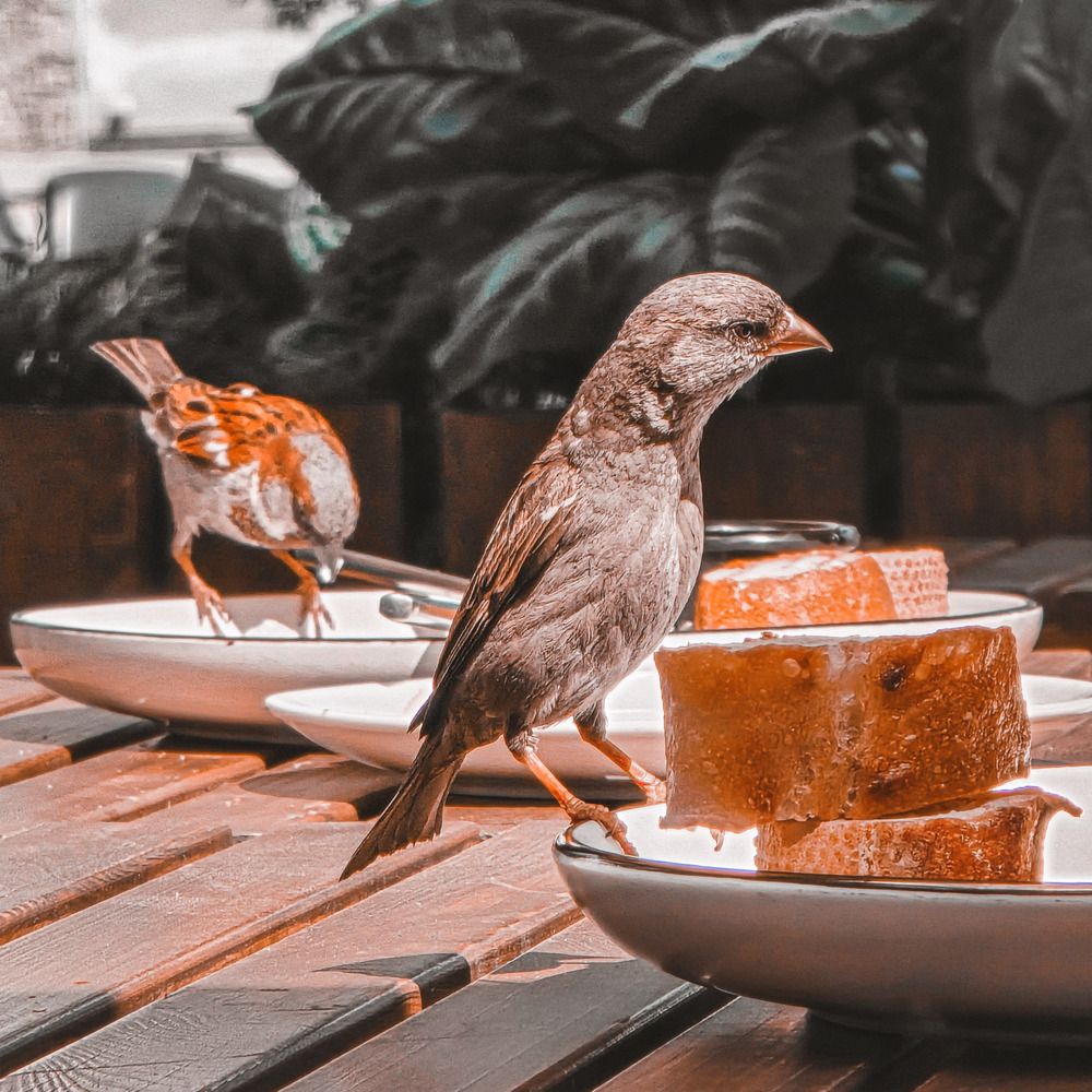 Photograph by Максим Фролов