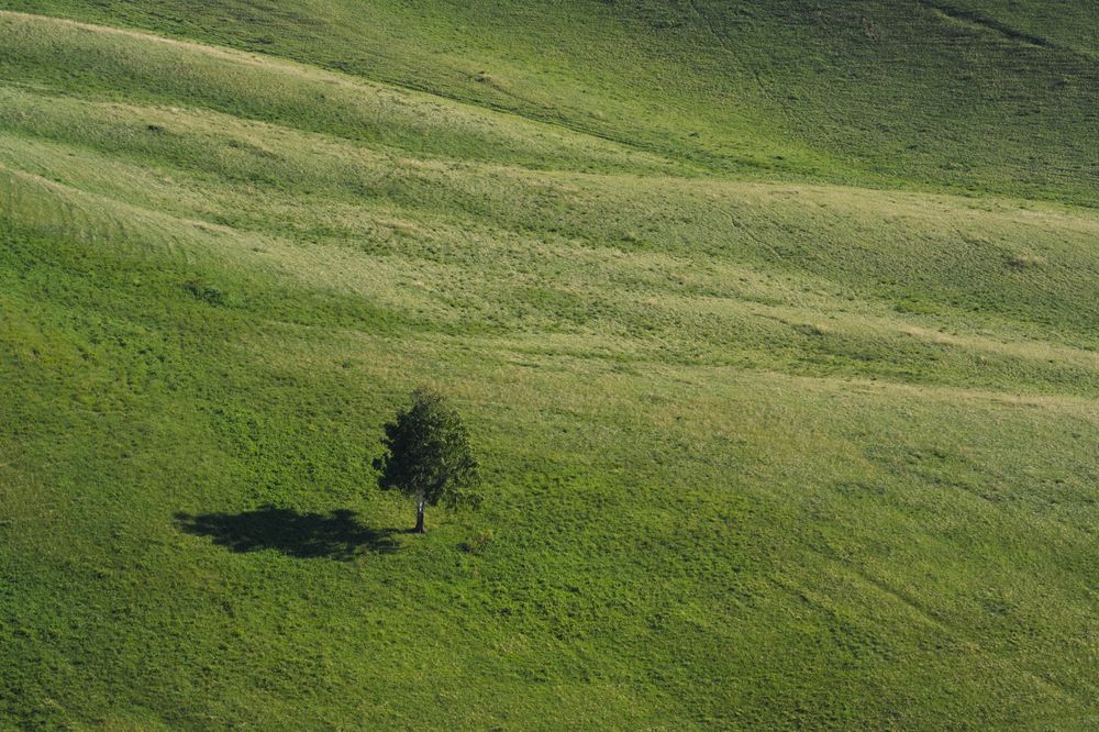 Photograph by Пучков Андрей