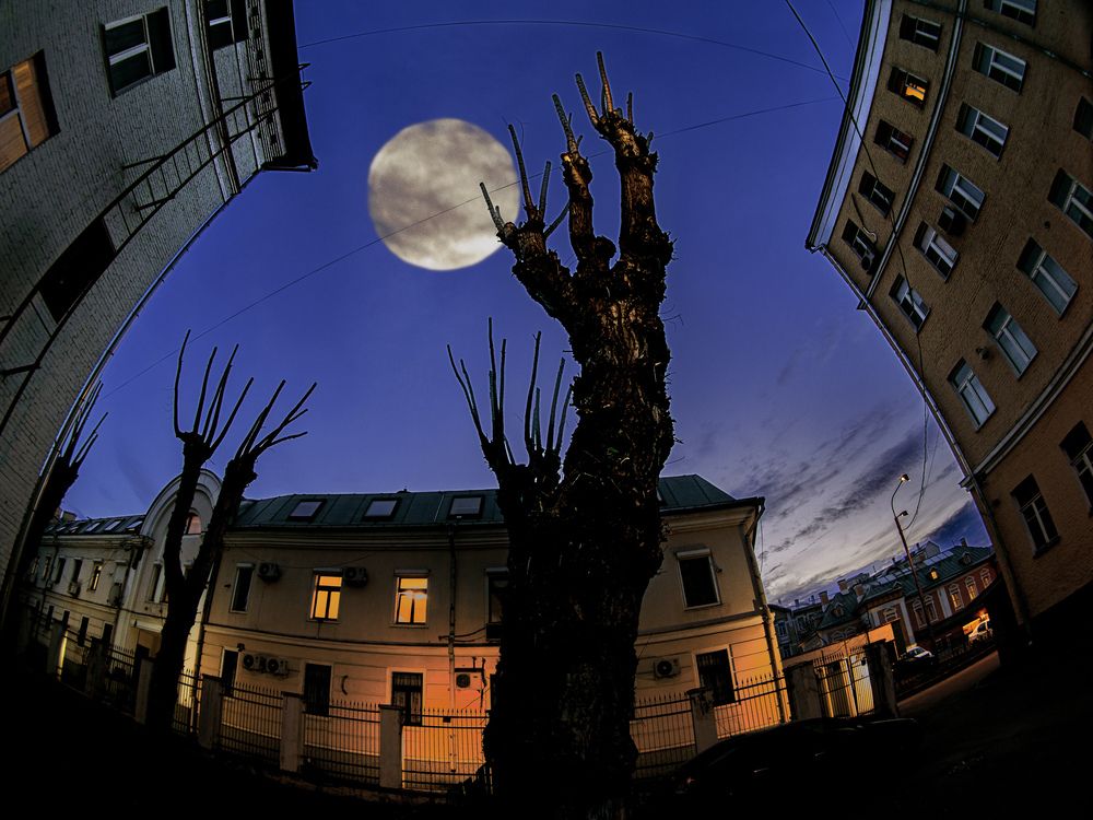 Photograph by Иван Труфанов