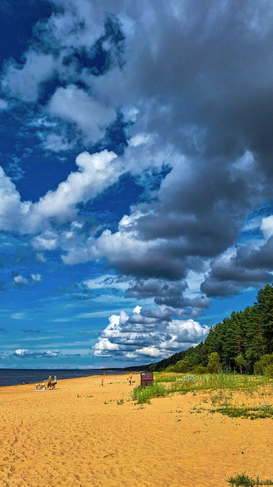 Photograph by Игорь Овсиенко