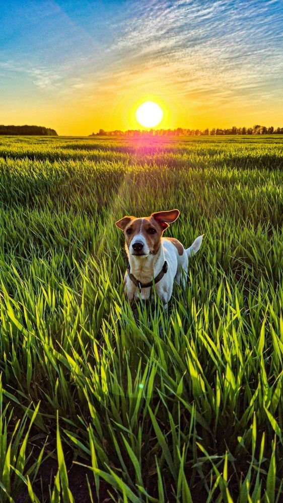 Photograph by Наташа Б.