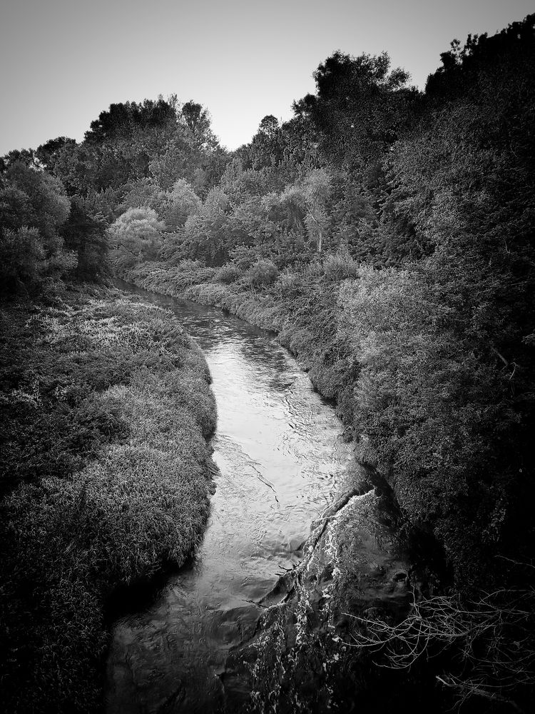 Photograph by Epichurin Nikolai