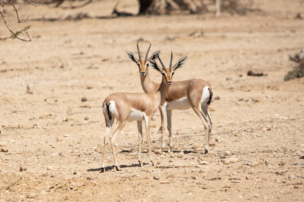 Photograph by Татьяна Огаркова