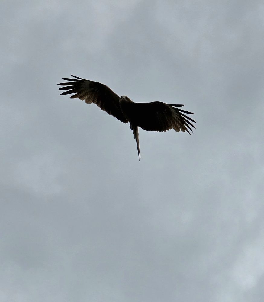 Photograph by Данил Фадеев