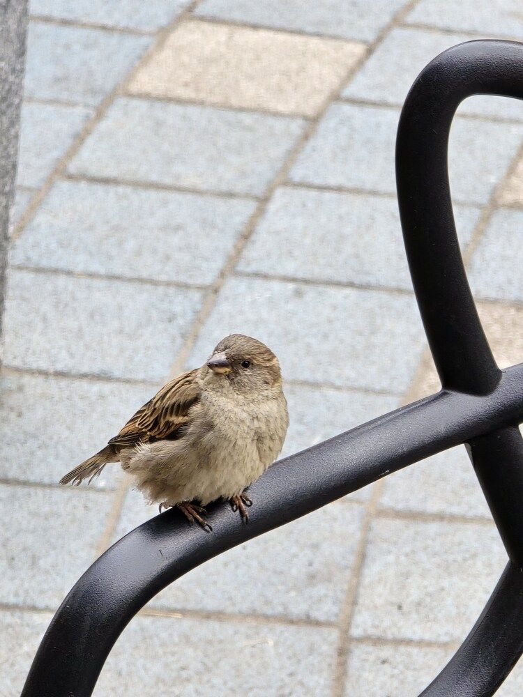 Photograph by Данил Фадеев