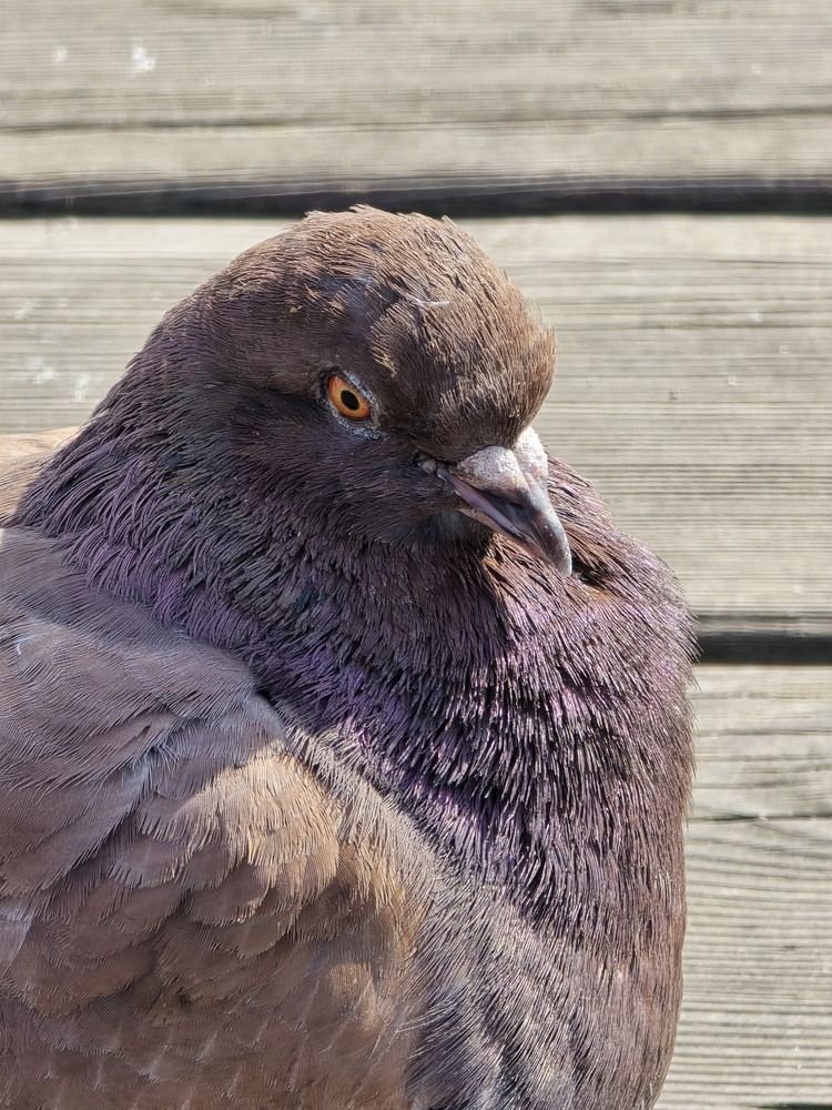 Photograph by Данил Фадеев