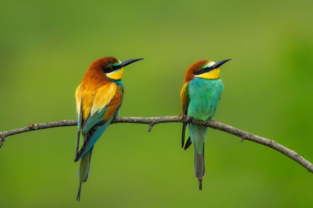 Фотография автора Ramadan Imam