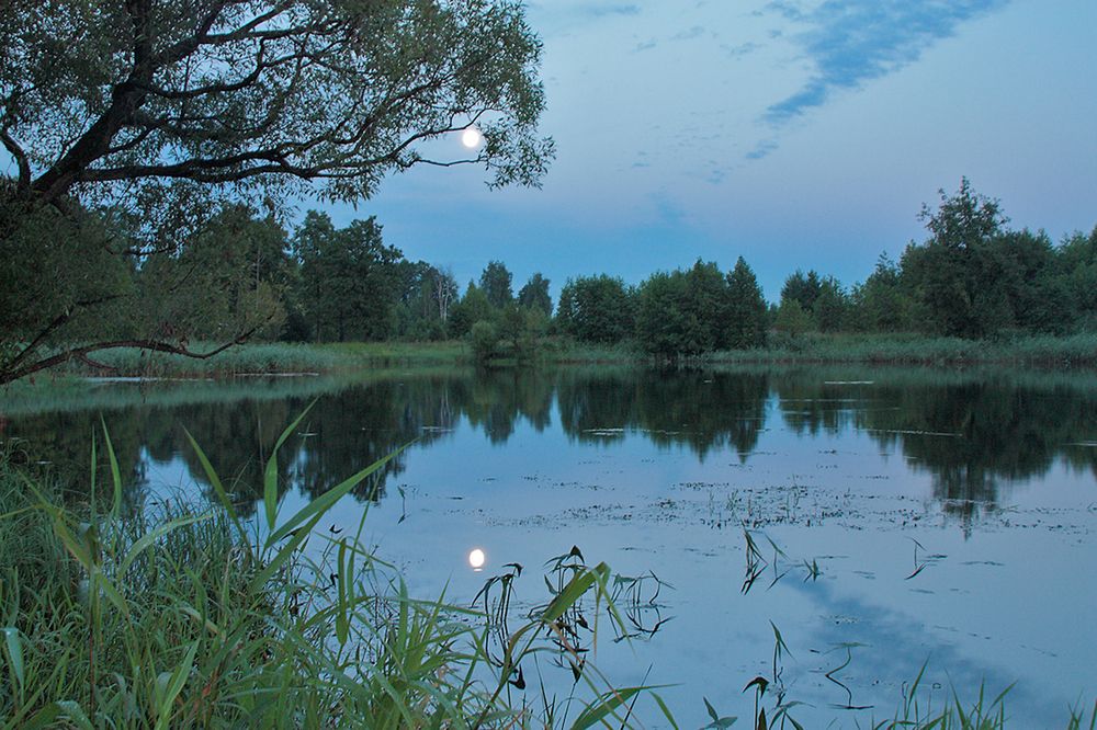 Photograph by Николай Кузьмин