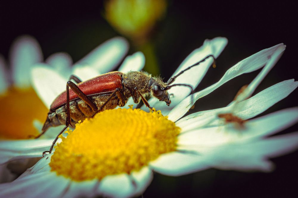 Фотография автора Сергей Назаредский