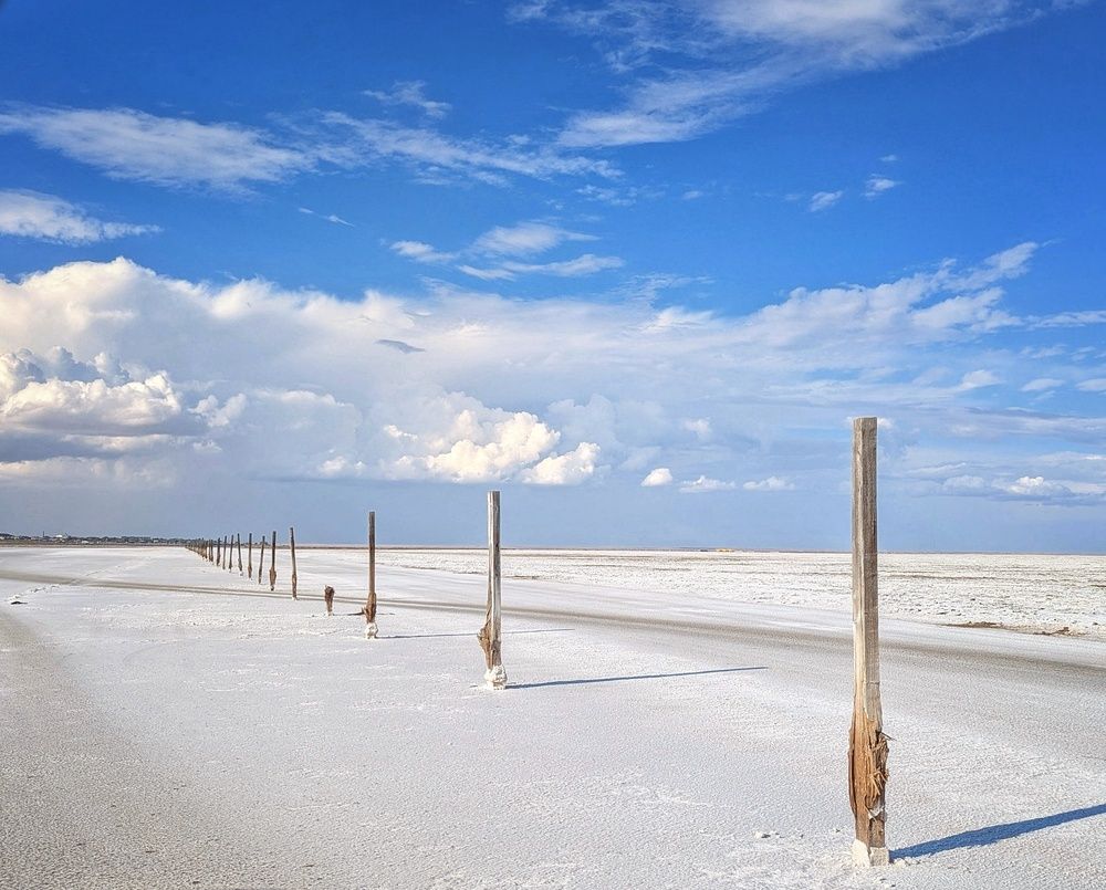 Photograph by AlexaL